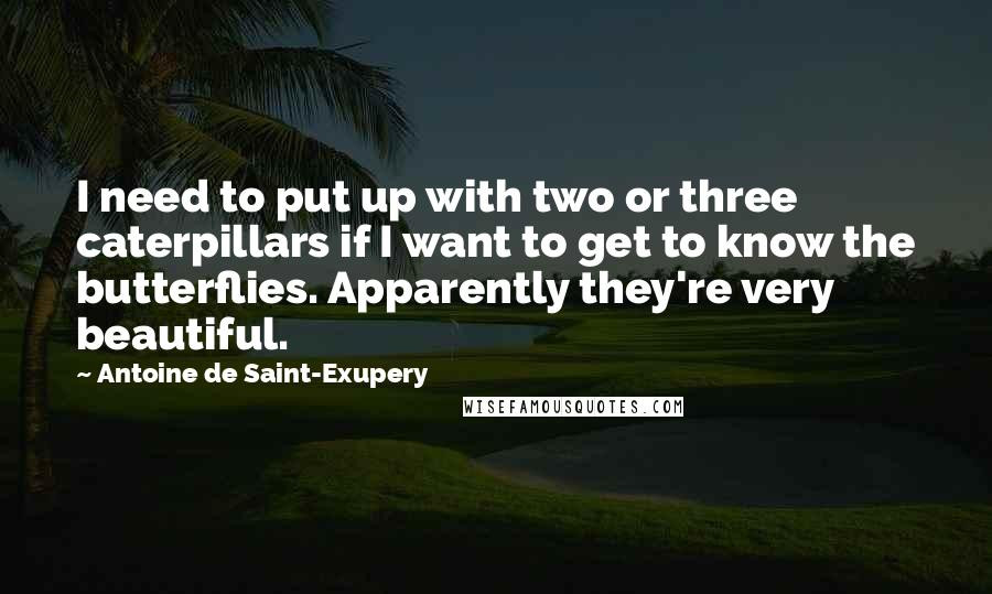 Antoine De Saint-Exupery Quotes: I need to put up with two or three caterpillars if I want to get to know the butterflies. Apparently they're very beautiful.