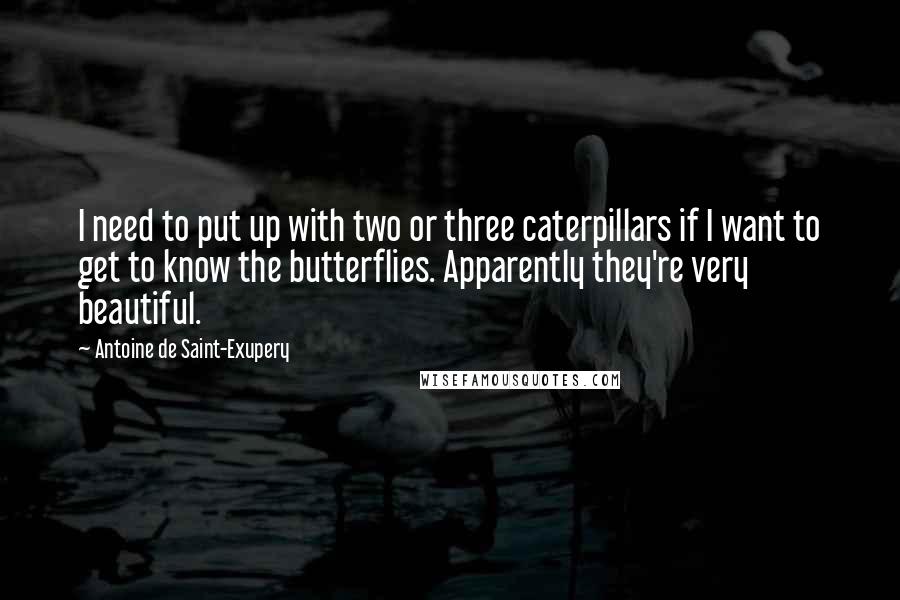 Antoine De Saint-Exupery Quotes: I need to put up with two or three caterpillars if I want to get to know the butterflies. Apparently they're very beautiful.