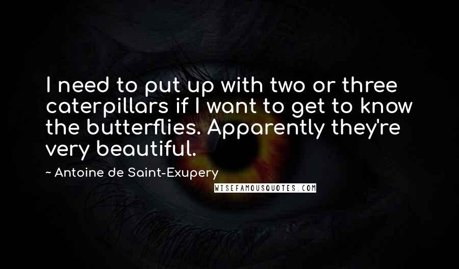 Antoine De Saint-Exupery Quotes: I need to put up with two or three caterpillars if I want to get to know the butterflies. Apparently they're very beautiful.