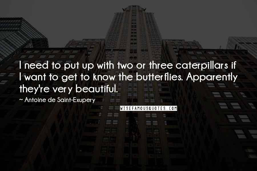 Antoine De Saint-Exupery Quotes: I need to put up with two or three caterpillars if I want to get to know the butterflies. Apparently they're very beautiful.