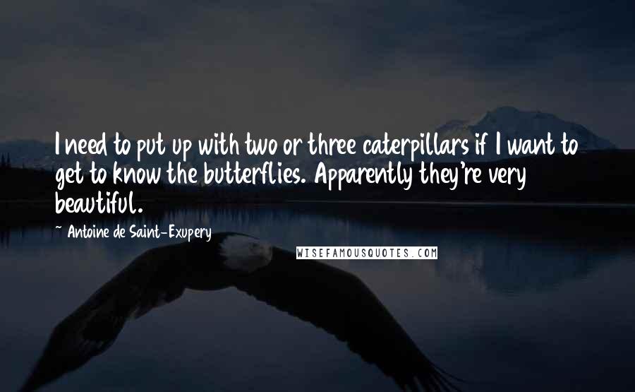 Antoine De Saint-Exupery Quotes: I need to put up with two or three caterpillars if I want to get to know the butterflies. Apparently they're very beautiful.
