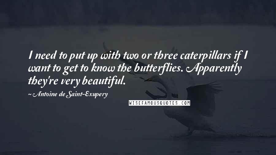 Antoine De Saint-Exupery Quotes: I need to put up with two or three caterpillars if I want to get to know the butterflies. Apparently they're very beautiful.