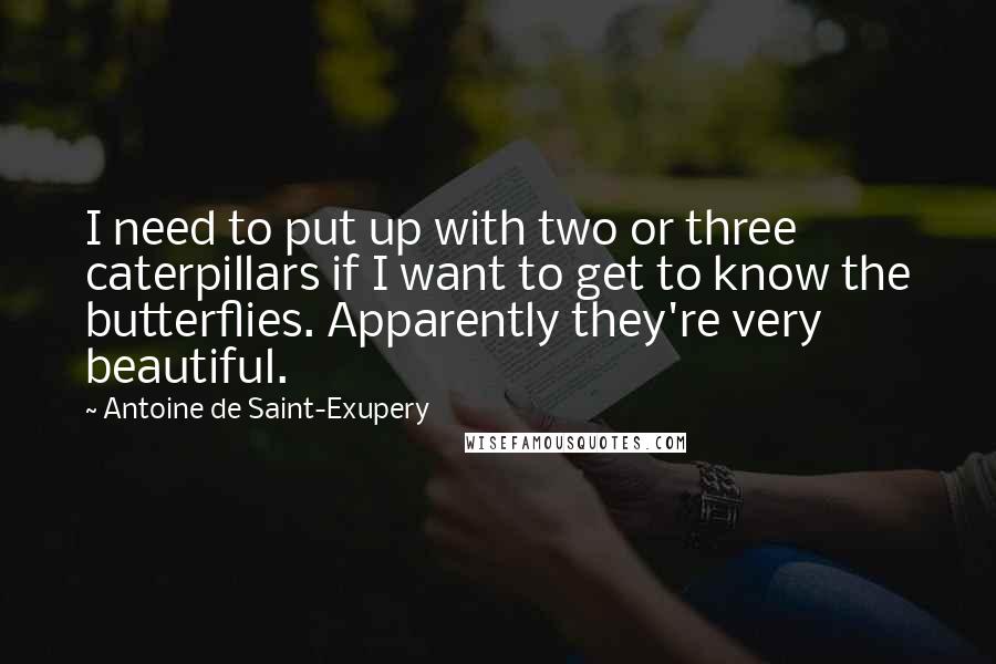 Antoine De Saint-Exupery Quotes: I need to put up with two or three caterpillars if I want to get to know the butterflies. Apparently they're very beautiful.