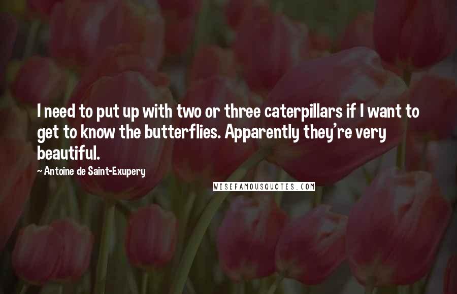 Antoine De Saint-Exupery Quotes: I need to put up with two or three caterpillars if I want to get to know the butterflies. Apparently they're very beautiful.