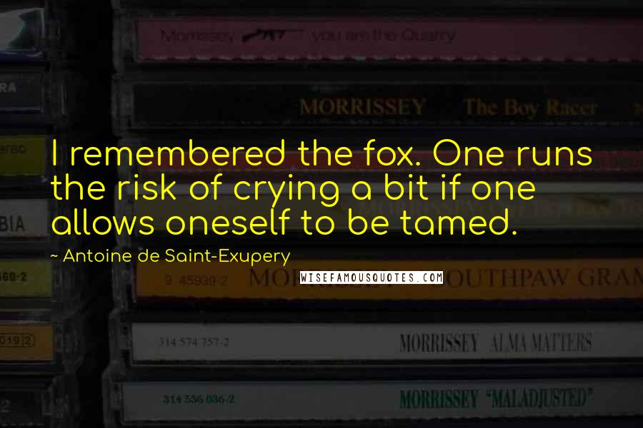 Antoine De Saint-Exupery Quotes: I remembered the fox. One runs the risk of crying a bit if one allows oneself to be tamed.