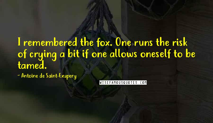 Antoine De Saint-Exupery Quotes: I remembered the fox. One runs the risk of crying a bit if one allows oneself to be tamed.