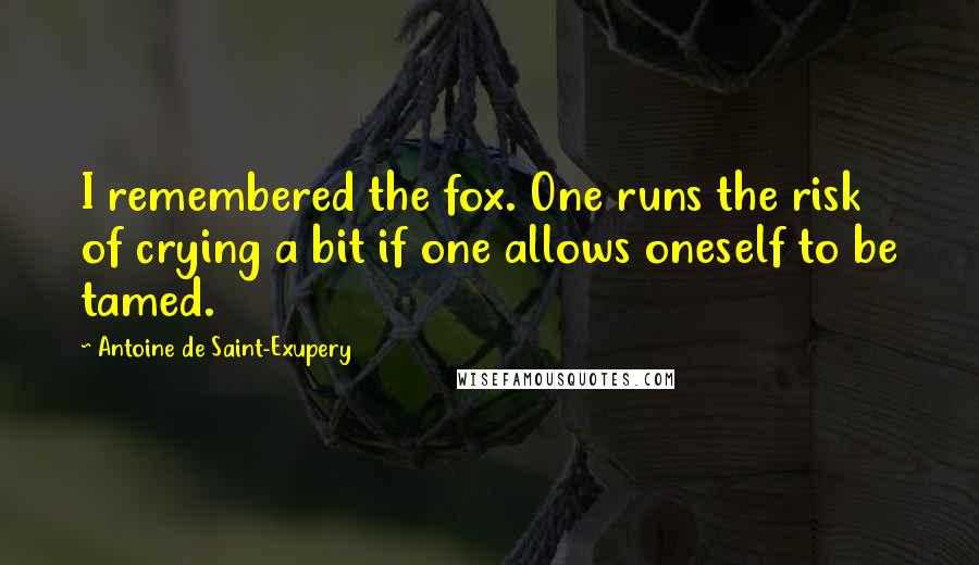 Antoine De Saint-Exupery Quotes: I remembered the fox. One runs the risk of crying a bit if one allows oneself to be tamed.