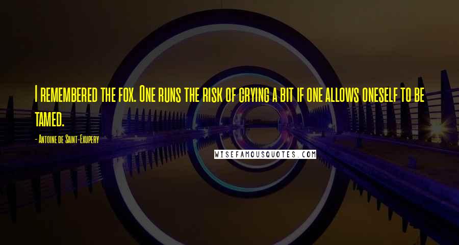 Antoine De Saint-Exupery Quotes: I remembered the fox. One runs the risk of crying a bit if one allows oneself to be tamed.