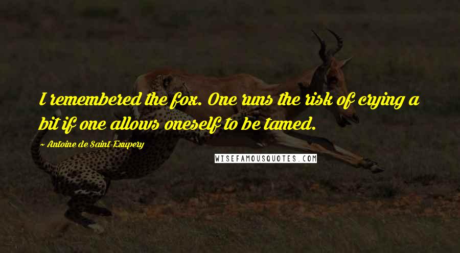 Antoine De Saint-Exupery Quotes: I remembered the fox. One runs the risk of crying a bit if one allows oneself to be tamed.