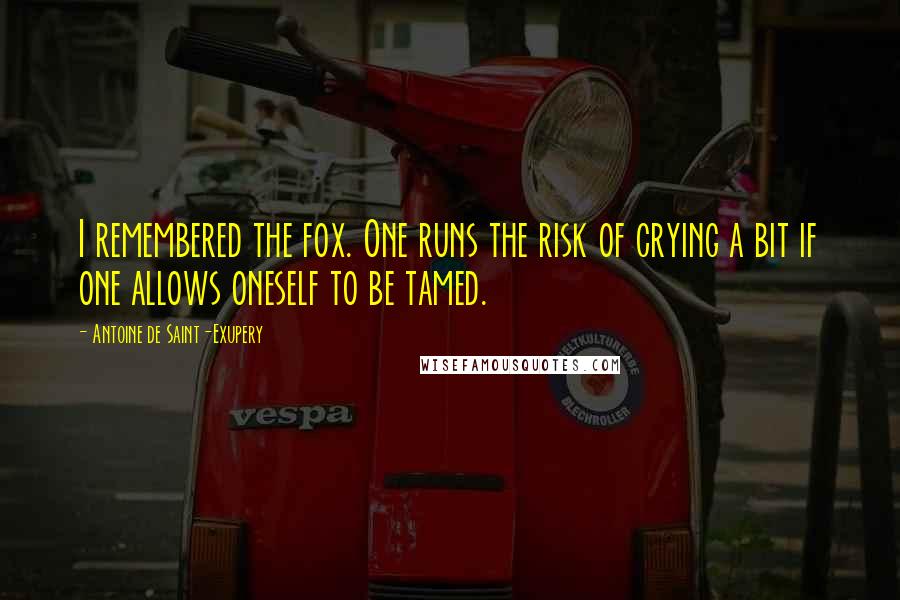 Antoine De Saint-Exupery Quotes: I remembered the fox. One runs the risk of crying a bit if one allows oneself to be tamed.