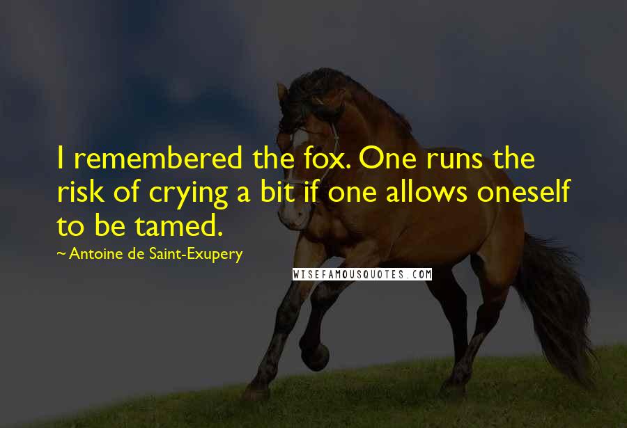 Antoine De Saint-Exupery Quotes: I remembered the fox. One runs the risk of crying a bit if one allows oneself to be tamed.