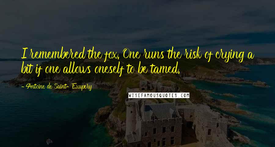 Antoine De Saint-Exupery Quotes: I remembered the fox. One runs the risk of crying a bit if one allows oneself to be tamed.