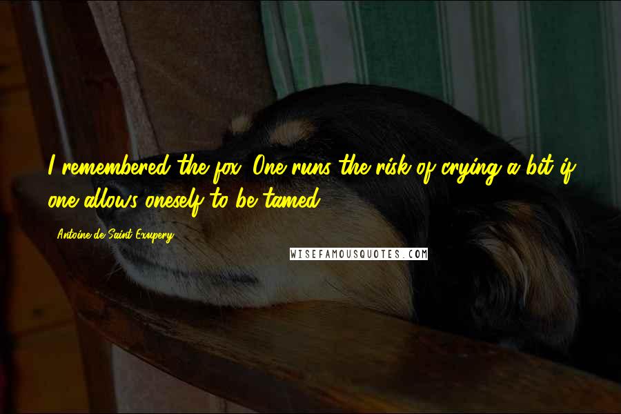 Antoine De Saint-Exupery Quotes: I remembered the fox. One runs the risk of crying a bit if one allows oneself to be tamed.