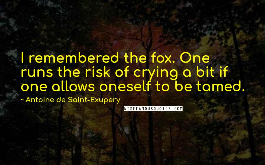 Antoine De Saint-Exupery Quotes: I remembered the fox. One runs the risk of crying a bit if one allows oneself to be tamed.