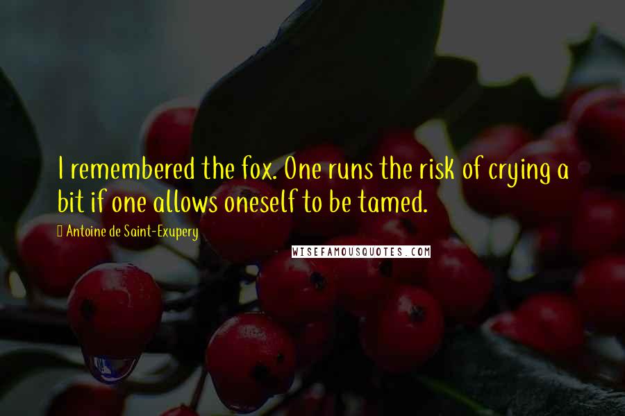 Antoine De Saint-Exupery Quotes: I remembered the fox. One runs the risk of crying a bit if one allows oneself to be tamed.