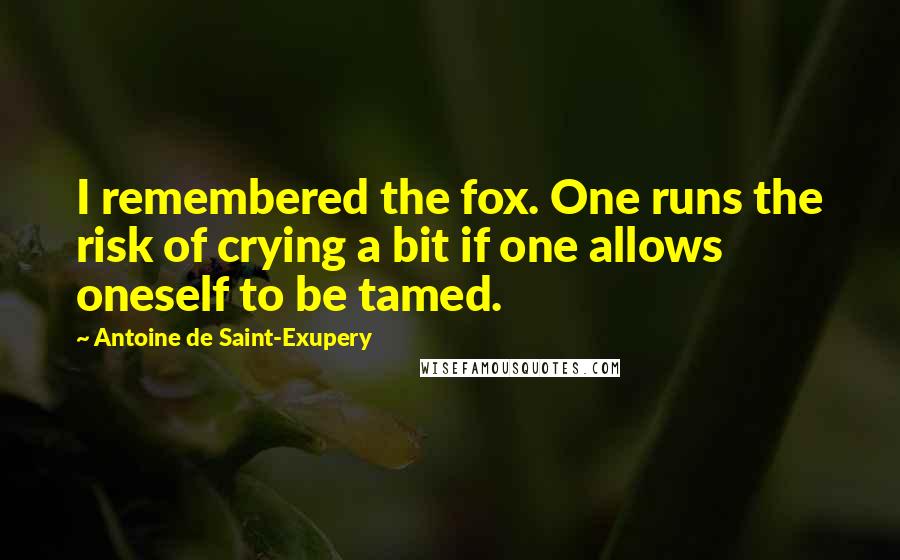 Antoine De Saint-Exupery Quotes: I remembered the fox. One runs the risk of crying a bit if one allows oneself to be tamed.