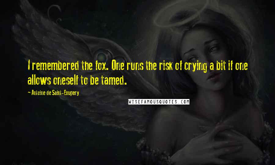 Antoine De Saint-Exupery Quotes: I remembered the fox. One runs the risk of crying a bit if one allows oneself to be tamed.