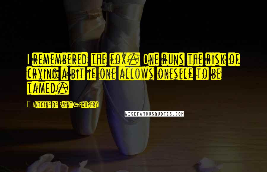 Antoine De Saint-Exupery Quotes: I remembered the fox. One runs the risk of crying a bit if one allows oneself to be tamed.