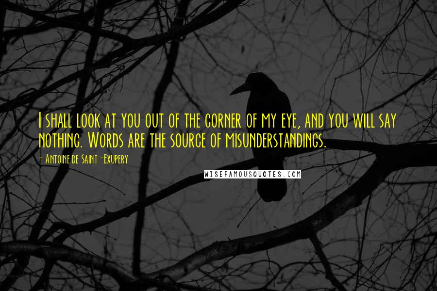 Antoine De Saint-Exupery Quotes: I shall look at you out of the corner of my eye, and you will say nothing. Words are the source of misunderstandings.