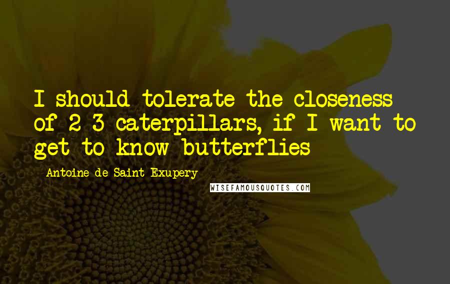 Antoine De Saint-Exupery Quotes: I should tolerate the closeness of 2-3 caterpillars, if I want to get to know butterflies