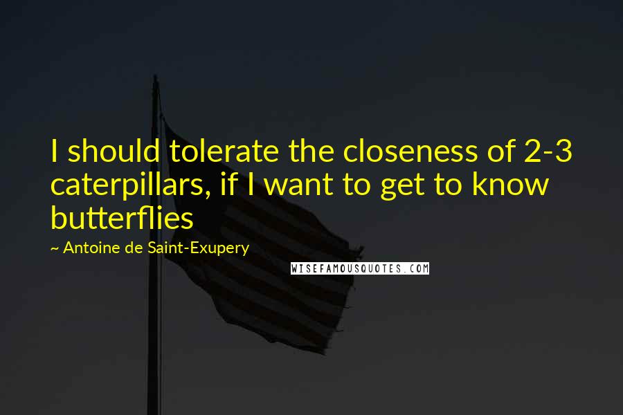 Antoine De Saint-Exupery Quotes: I should tolerate the closeness of 2-3 caterpillars, if I want to get to know butterflies