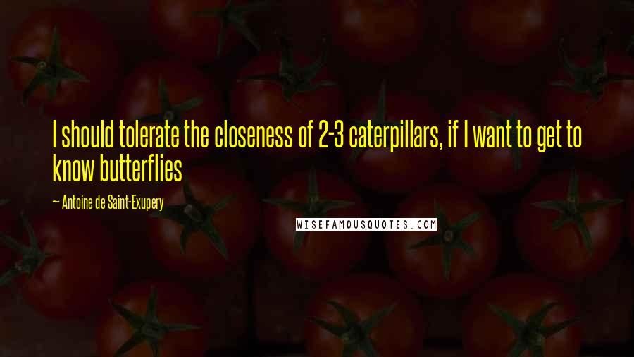 Antoine De Saint-Exupery Quotes: I should tolerate the closeness of 2-3 caterpillars, if I want to get to know butterflies