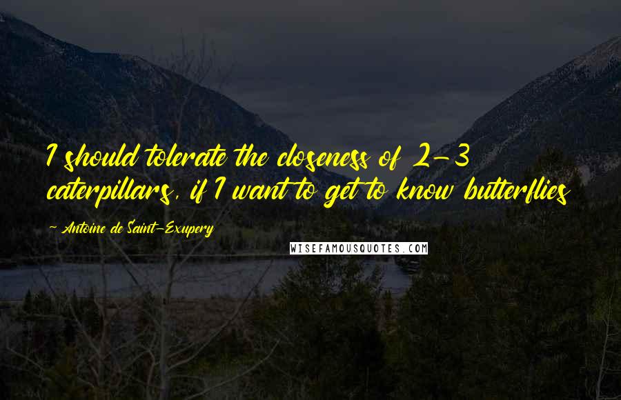 Antoine De Saint-Exupery Quotes: I should tolerate the closeness of 2-3 caterpillars, if I want to get to know butterflies