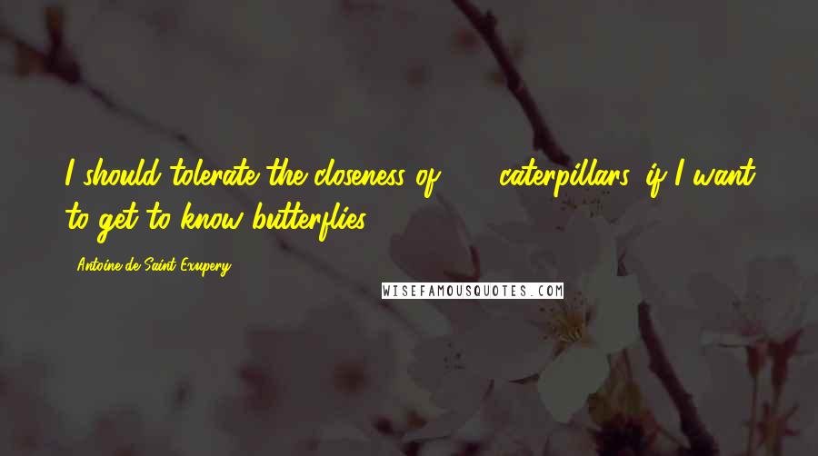 Antoine De Saint-Exupery Quotes: I should tolerate the closeness of 2-3 caterpillars, if I want to get to know butterflies