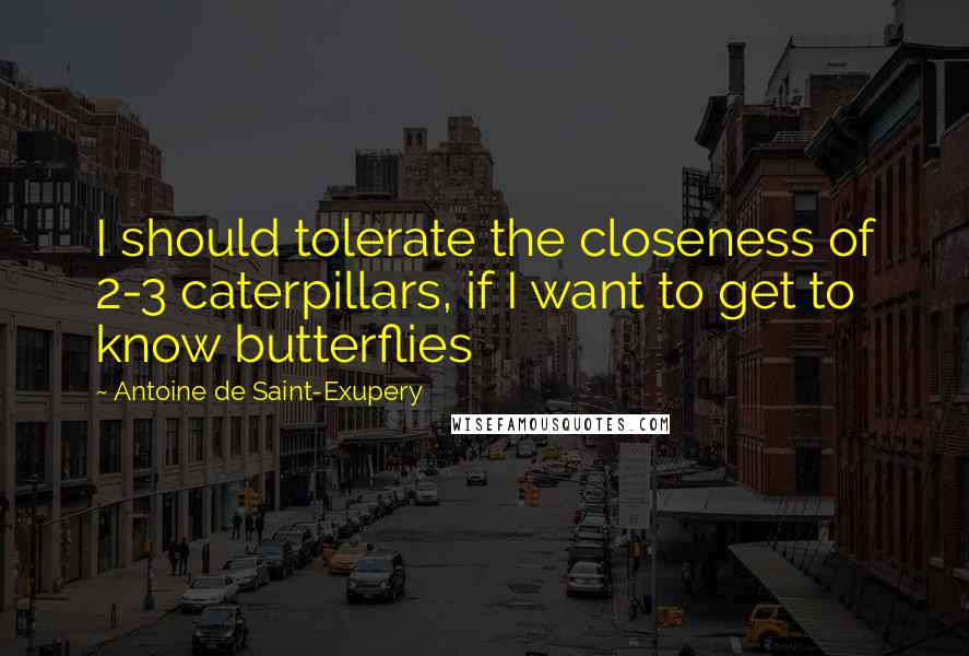 Antoine De Saint-Exupery Quotes: I should tolerate the closeness of 2-3 caterpillars, if I want to get to know butterflies