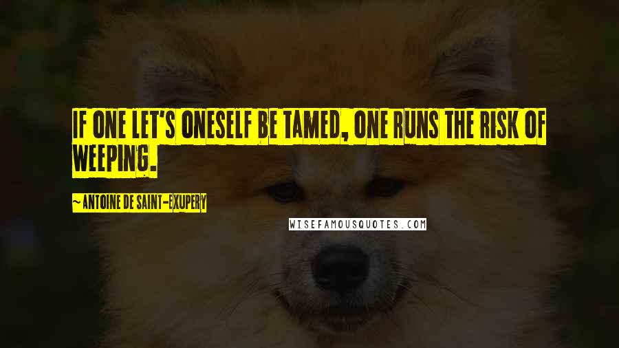 Antoine De Saint-Exupery Quotes: If one let's oneself be tamed, one runs the risk of weeping.