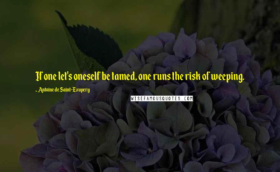 Antoine De Saint-Exupery Quotes: If one let's oneself be tamed, one runs the risk of weeping.