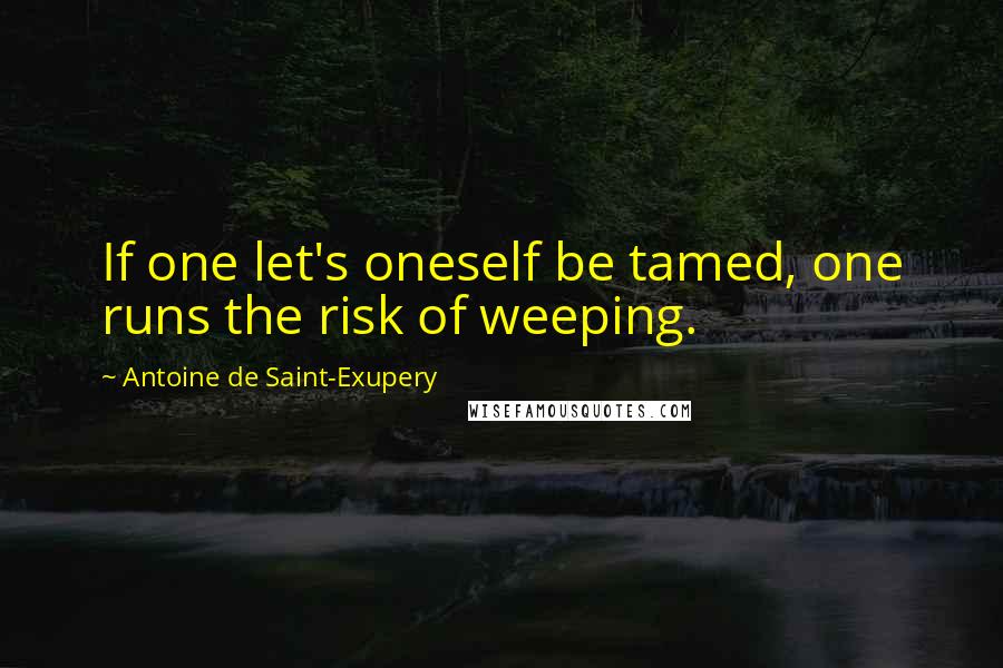 Antoine De Saint-Exupery Quotes: If one let's oneself be tamed, one runs the risk of weeping.