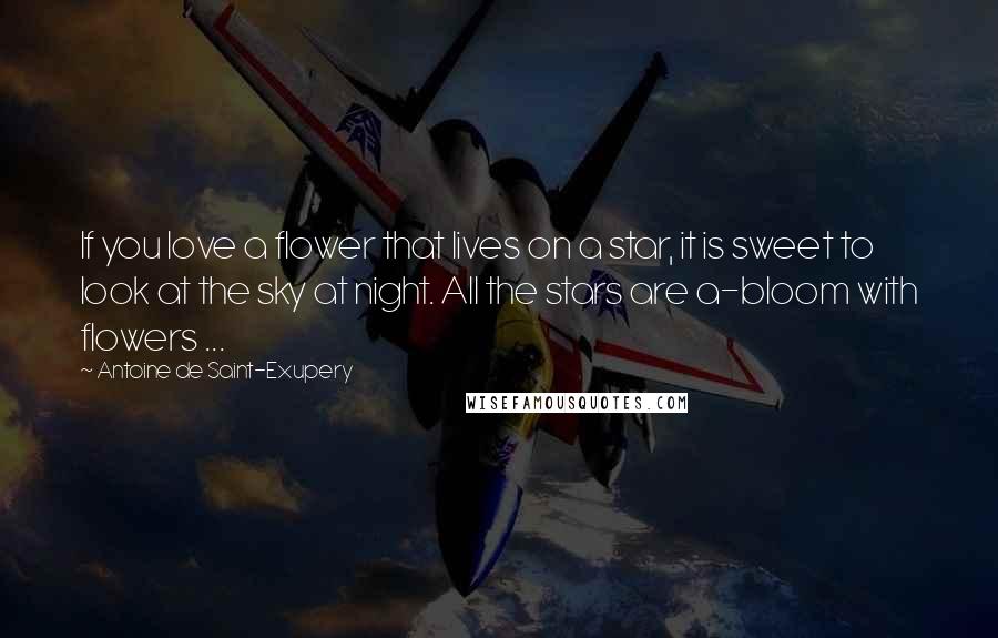 Antoine De Saint-Exupery Quotes: If you love a flower that lives on a star, it is sweet to look at the sky at night. All the stars are a-bloom with flowers ...