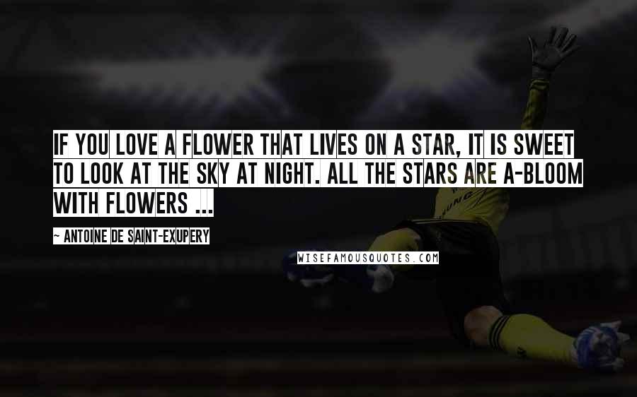 Antoine De Saint-Exupery Quotes: If you love a flower that lives on a star, it is sweet to look at the sky at night. All the stars are a-bloom with flowers ...