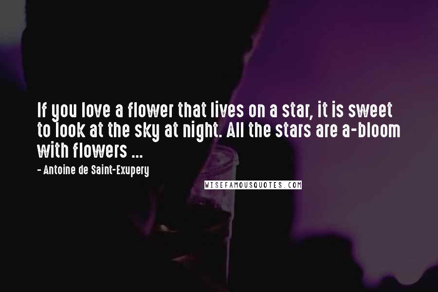 Antoine De Saint-Exupery Quotes: If you love a flower that lives on a star, it is sweet to look at the sky at night. All the stars are a-bloom with flowers ...