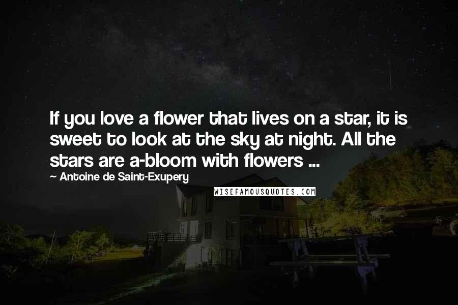 Antoine De Saint-Exupery Quotes: If you love a flower that lives on a star, it is sweet to look at the sky at night. All the stars are a-bloom with flowers ...