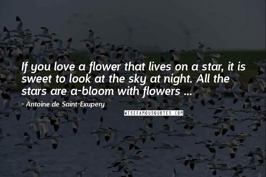 Antoine De Saint-Exupery Quotes: If you love a flower that lives on a star, it is sweet to look at the sky at night. All the stars are a-bloom with flowers ...