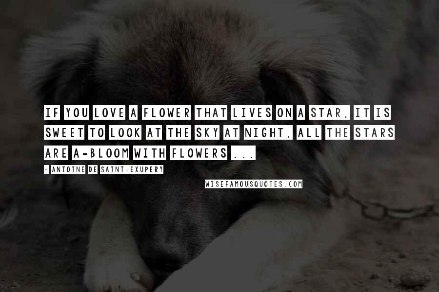 Antoine De Saint-Exupery Quotes: If you love a flower that lives on a star, it is sweet to look at the sky at night. All the stars are a-bloom with flowers ...