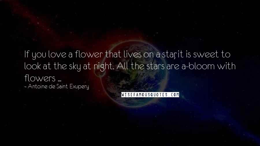 Antoine De Saint-Exupery Quotes: If you love a flower that lives on a star, it is sweet to look at the sky at night. All the stars are a-bloom with flowers ...