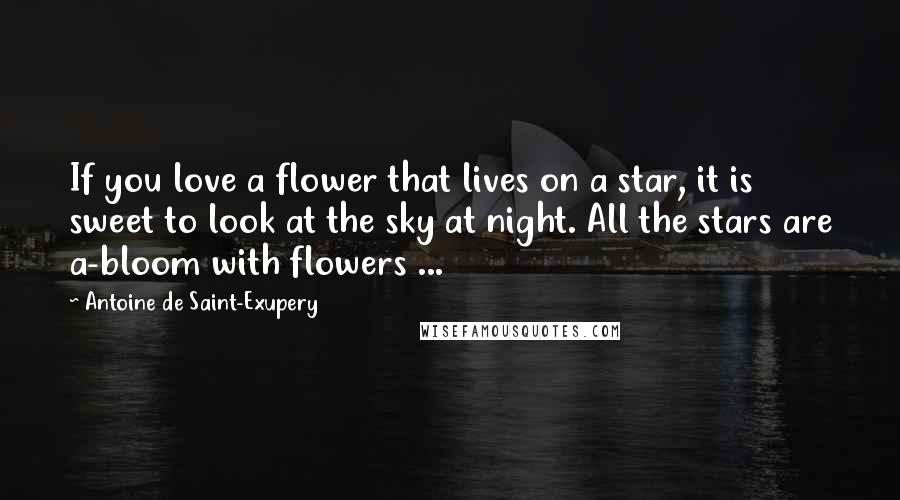 Antoine De Saint-Exupery Quotes: If you love a flower that lives on a star, it is sweet to look at the sky at night. All the stars are a-bloom with flowers ...