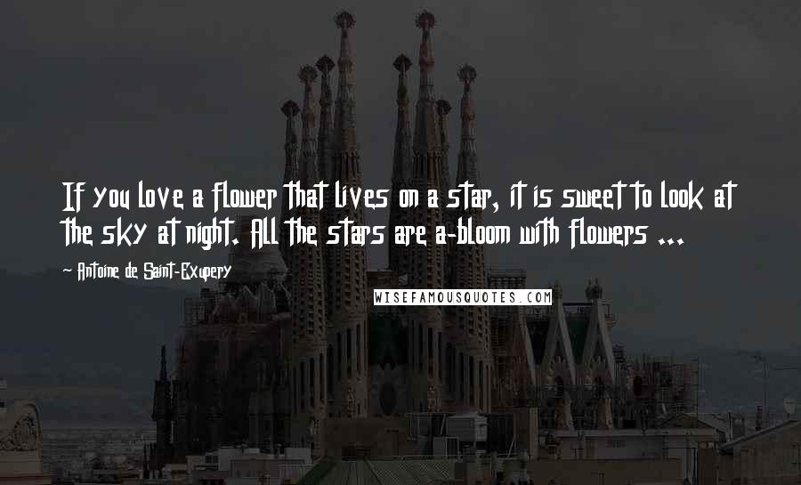 Antoine De Saint-Exupery Quotes: If you love a flower that lives on a star, it is sweet to look at the sky at night. All the stars are a-bloom with flowers ...