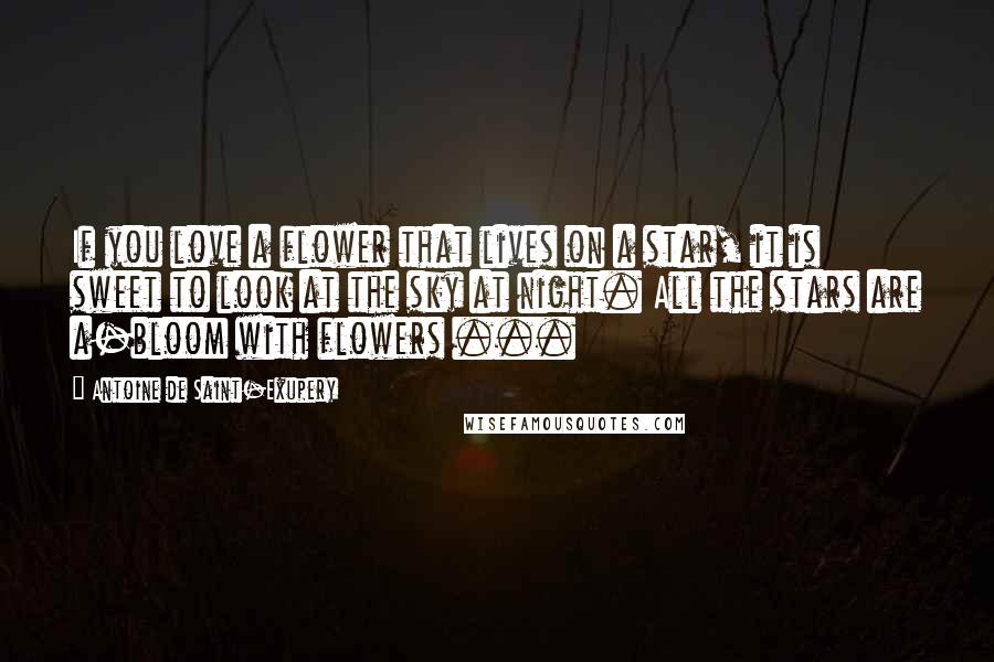 Antoine De Saint-Exupery Quotes: If you love a flower that lives on a star, it is sweet to look at the sky at night. All the stars are a-bloom with flowers ...
