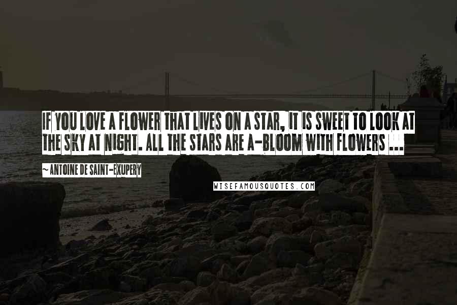 Antoine De Saint-Exupery Quotes: If you love a flower that lives on a star, it is sweet to look at the sky at night. All the stars are a-bloom with flowers ...