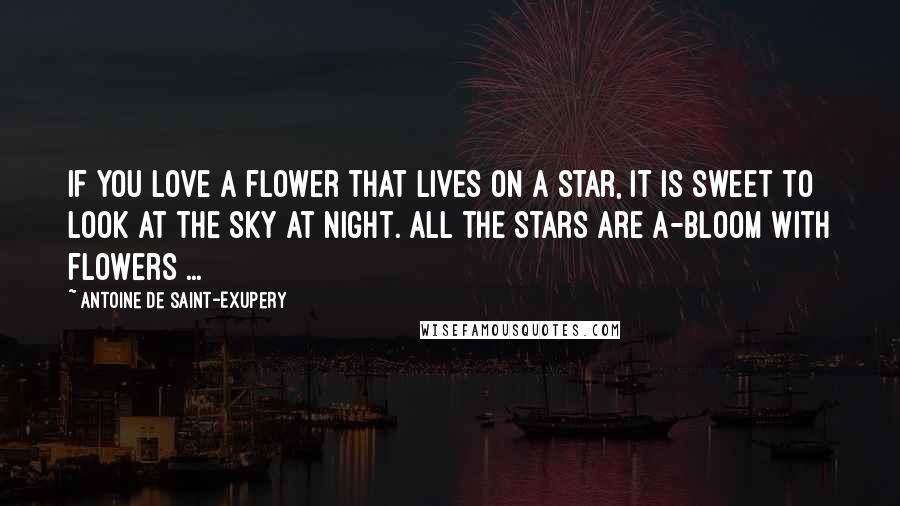 Antoine De Saint-Exupery Quotes: If you love a flower that lives on a star, it is sweet to look at the sky at night. All the stars are a-bloom with flowers ...