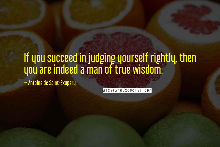 Antoine De Saint-Exupery Quotes: If you succeed in judging yourself rightly, then you are indeed a man of true wisdom.