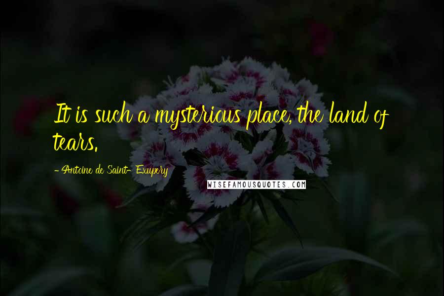 Antoine De Saint-Exupery Quotes: It is such a mysterious place, the land of tears.