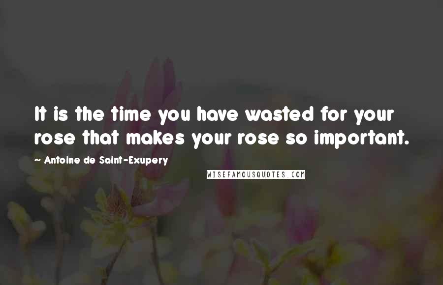 Antoine De Saint-Exupery Quotes: It is the time you have wasted for your rose that makes your rose so important.