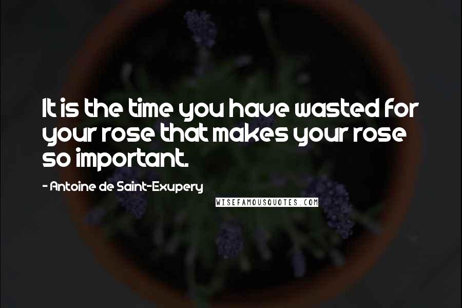 Antoine De Saint-Exupery Quotes: It is the time you have wasted for your rose that makes your rose so important.