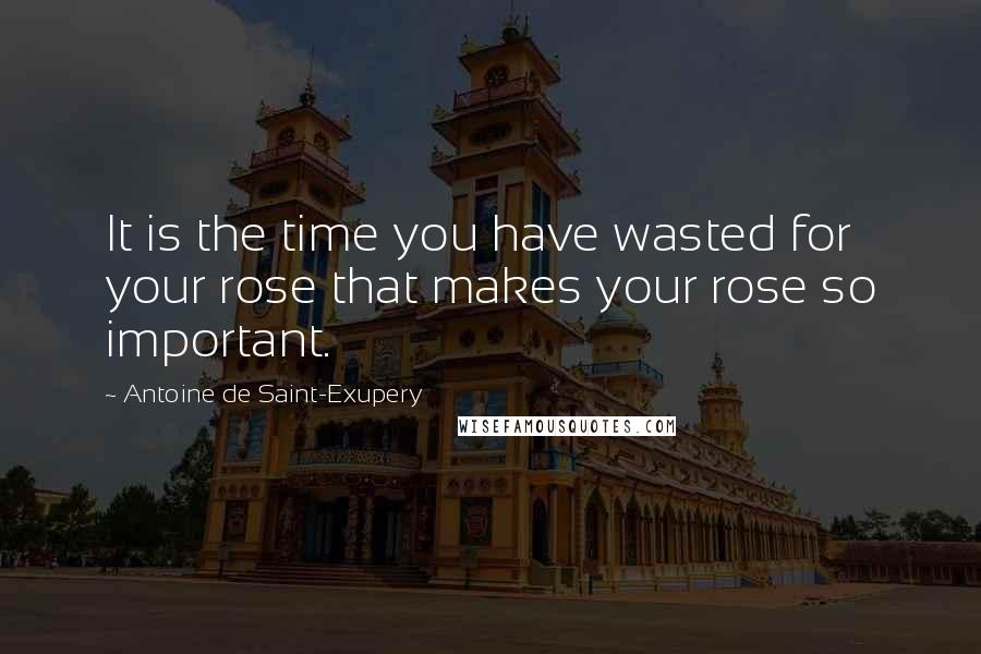 Antoine De Saint-Exupery Quotes: It is the time you have wasted for your rose that makes your rose so important.