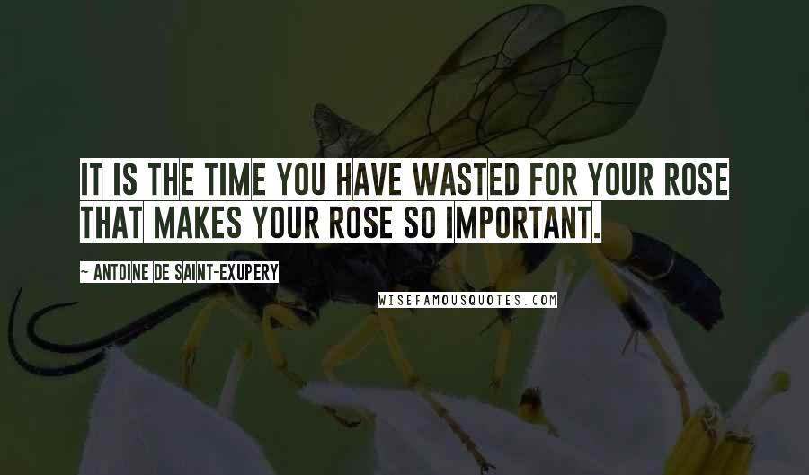 Antoine De Saint-Exupery Quotes: It is the time you have wasted for your rose that makes your rose so important.